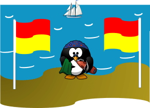 swim between the flags