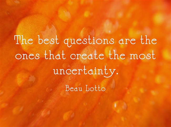 The-best-questions-are