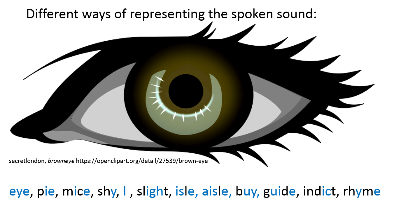 eye