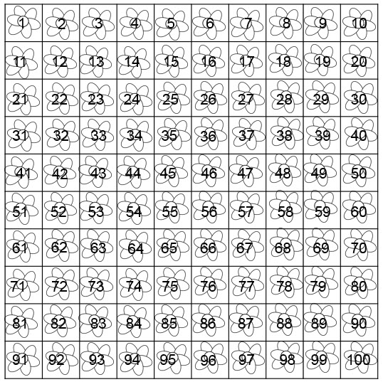 100 flowers outline