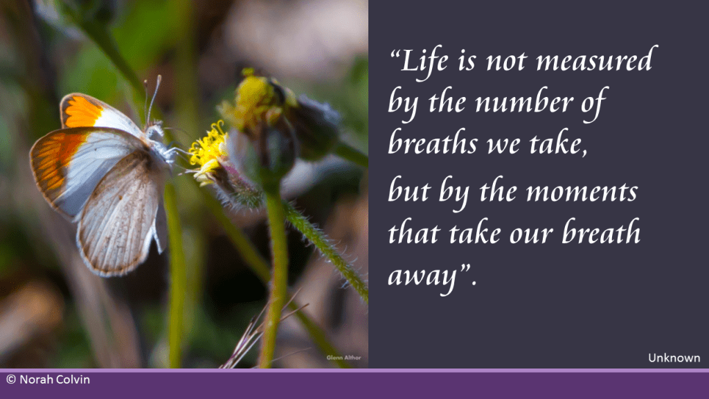 Breaths - life is not measured