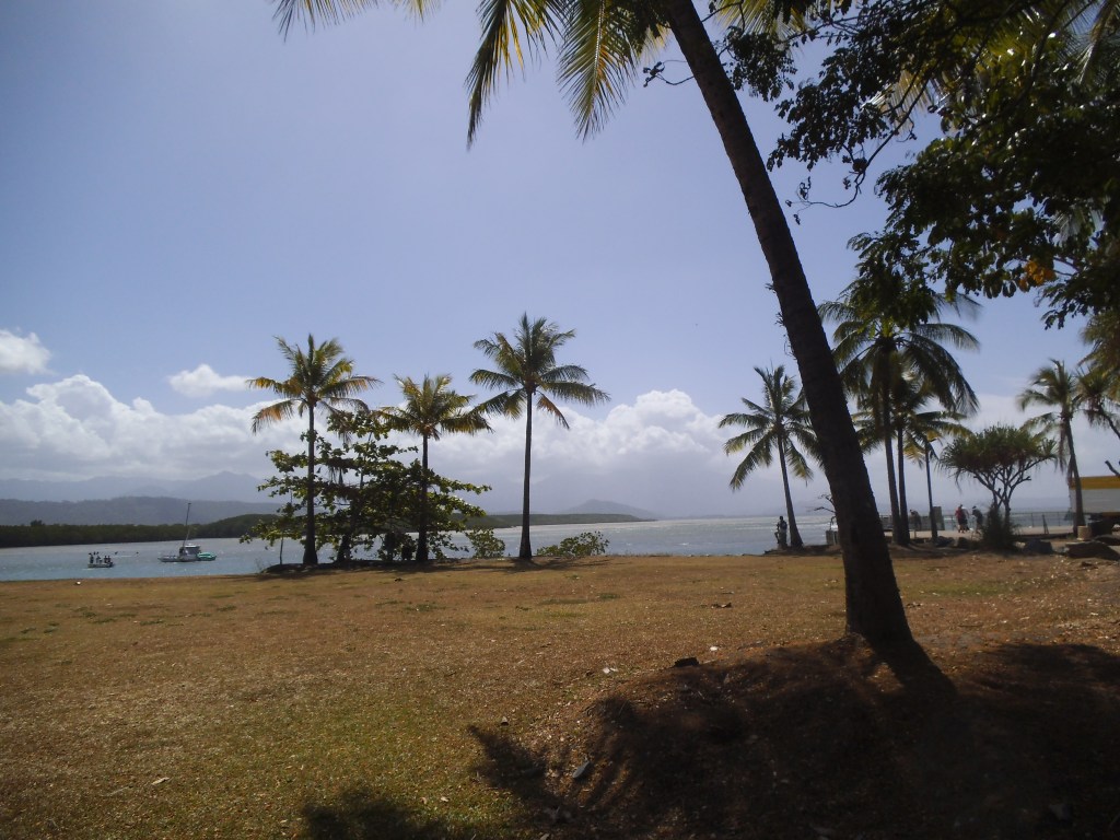 Port Douglas © Norah Colvin