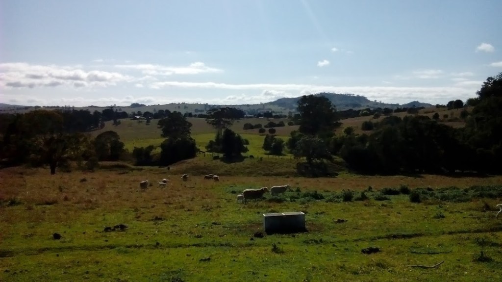 Farm © Norah Colvin