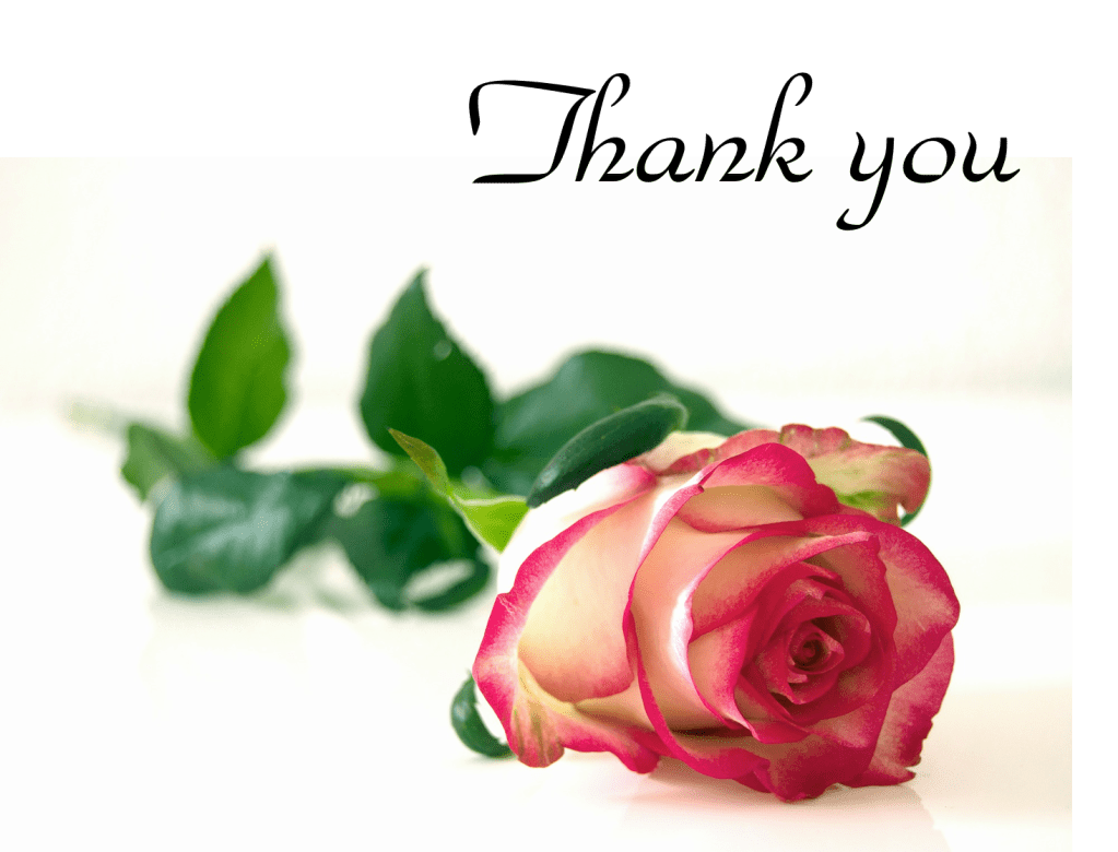 thank you for your participation