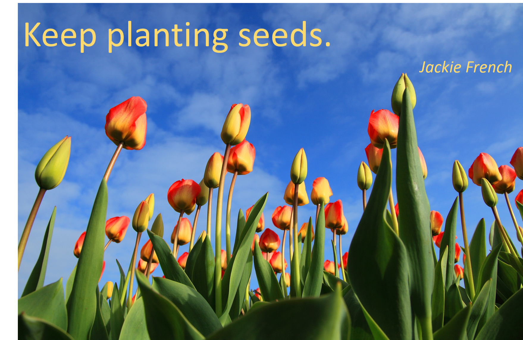 Jackie French - keep planting seeds