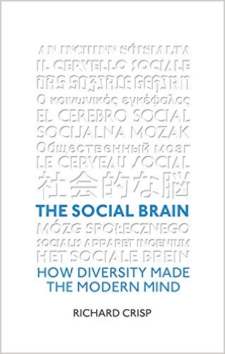 social brain