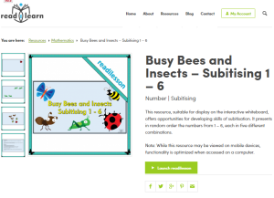 Busy Bees and Insects subitising