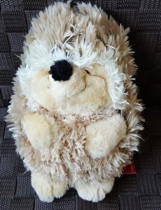 © Norah Colvin 2016