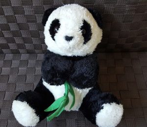 © Norah Colvin 2016