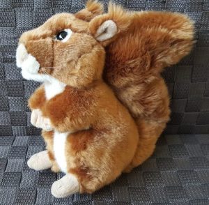 © Norah Colvin 2016