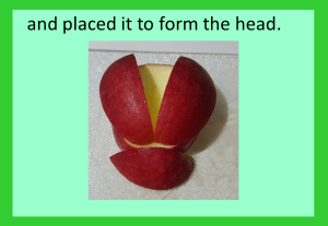 © Norah Colvin 2016