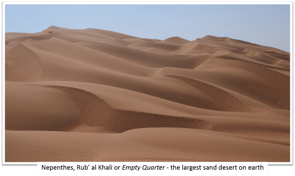 https://commons.wikimedia.org/wiki/File:Rub_al_Khali_002.JPG