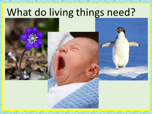 what do living things need
