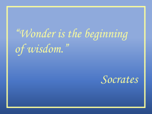 wonder-socrates