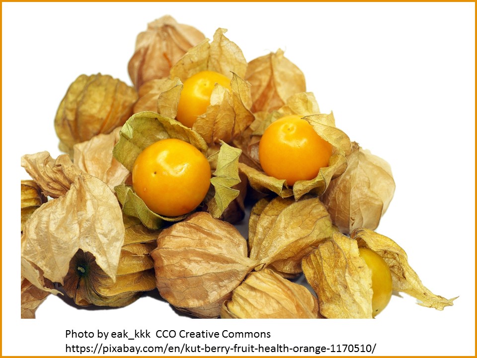 gooseberries