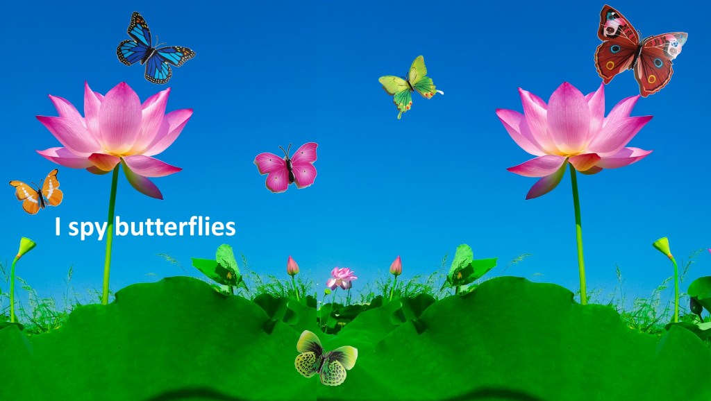 I spy butterflies