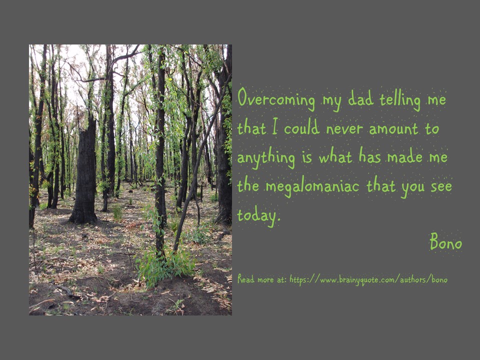 Bono quote about why he's a megalomaniac