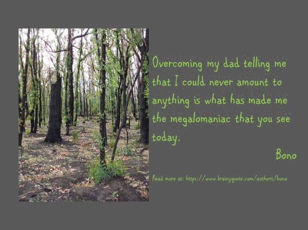 Bono quote about why he's a megalomaniac