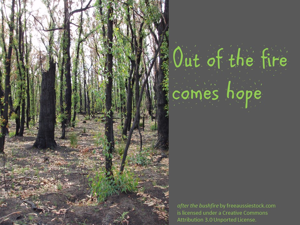 Out of the fire comes&nbsp;hope