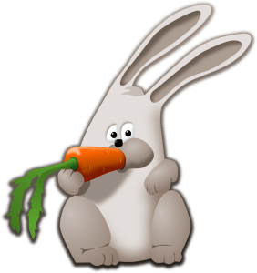 bunny eating carrot public domain picture