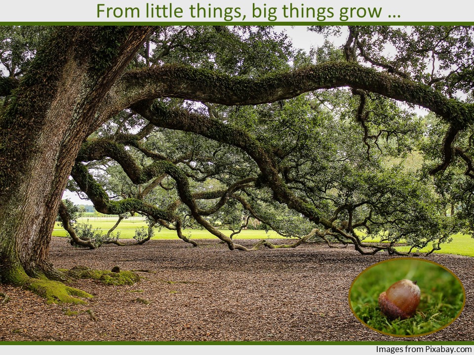 from little things big things grow