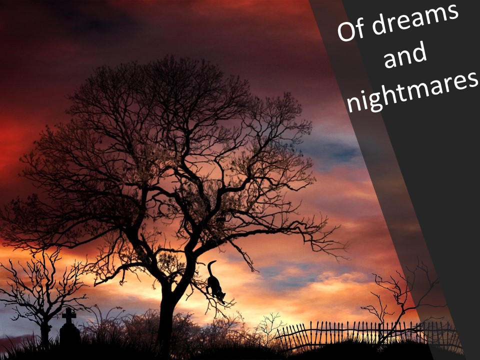 Marnie's graduation of dreams and nightmares flash fiction