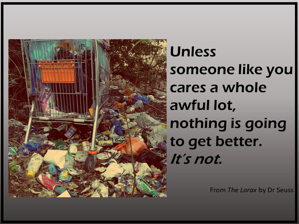 Unless quote from The Lorax by Dr. Seuss