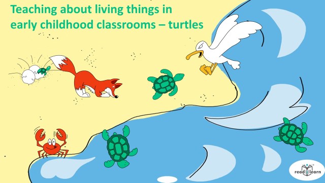readilearn: Teaching about living things in early childhood classrooms –&nbsp;turtles