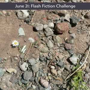 All is not lost Carrot Ranch flash fiction challenge
