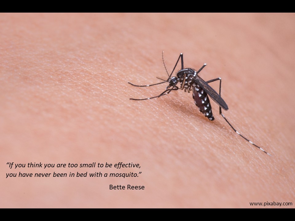 quote about effectiveness and size by Bette Reese