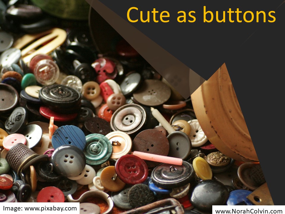 Cute as buttons