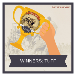 The TUFFest Ride: Winners