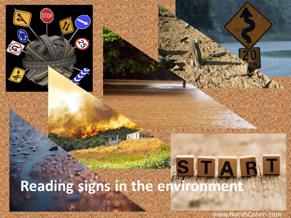 teaching children to read signs in the environment