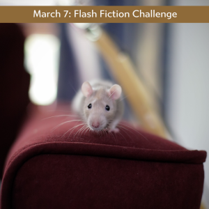 Carrot Ranch flash fiction challenge - mouse