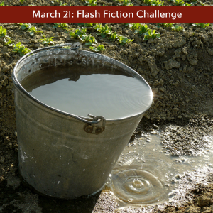 Charli's flash fiction challenge a bucket of water