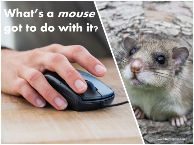 a flash fiction story about a mouse