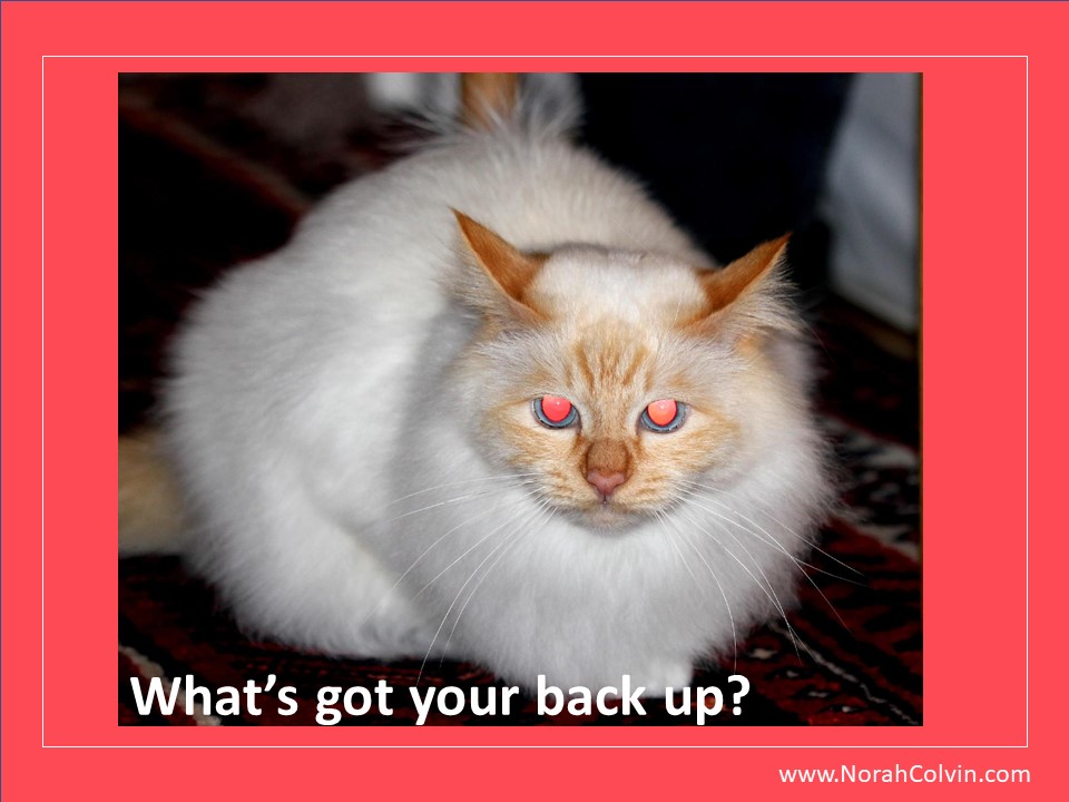 flash fiction challenge about backing up