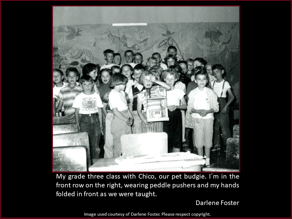 Darlene Foster reminiscences of school days