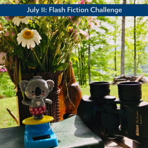Carrot Ranch flash fiction challenge Koala