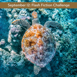 Carrot Ranch flash fiction challenge - greatest gift