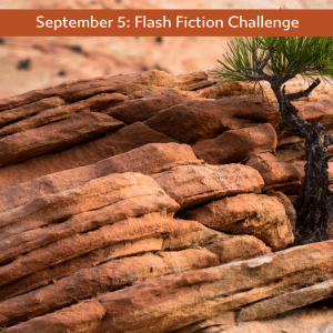 Carrot Ranch flash fiction challenge - true grit