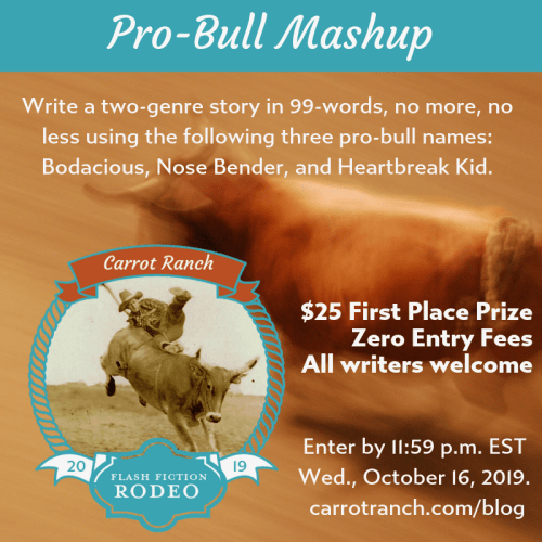 Rodeo #2: Pro-Bull&nbsp;Mashup