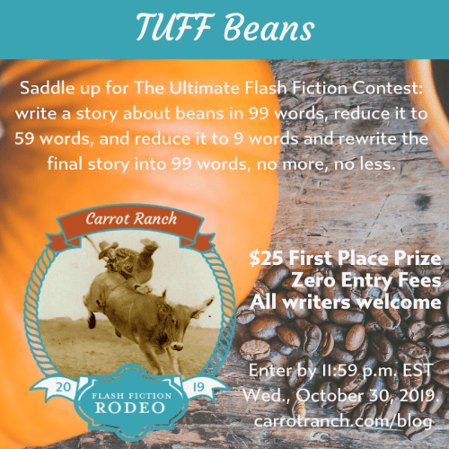 Rodeo #4: TUFF&nbsp;Beans