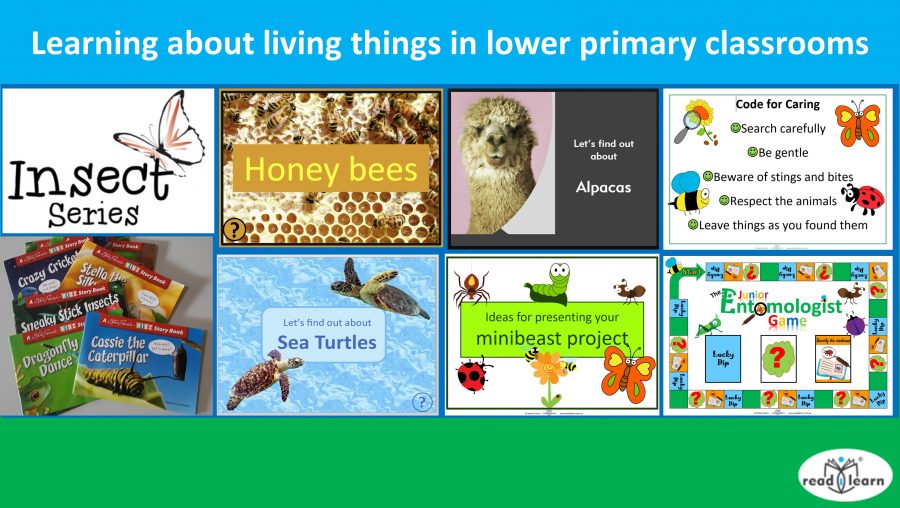 Learning about living things in lower primary classrooms –&nbsp;#readilearn