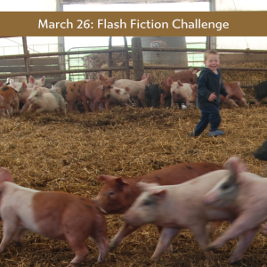 Carrot Ranch - in charge flash fiction