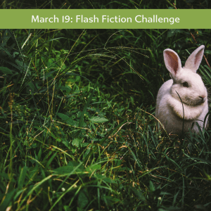 Carrot Ranch - Rabbits on the roof