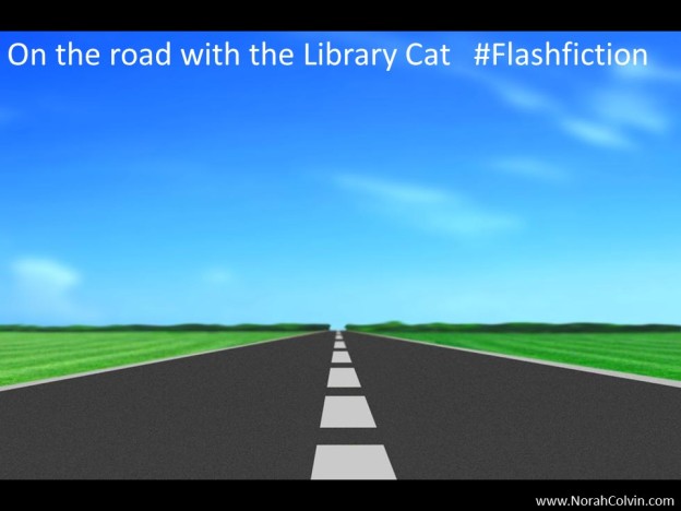 On the road with the library cat flashfiction