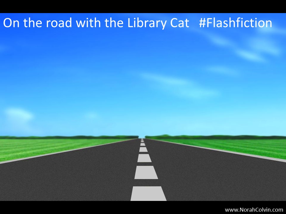 On the road with the Library Cat&nbsp;#Flashfiction