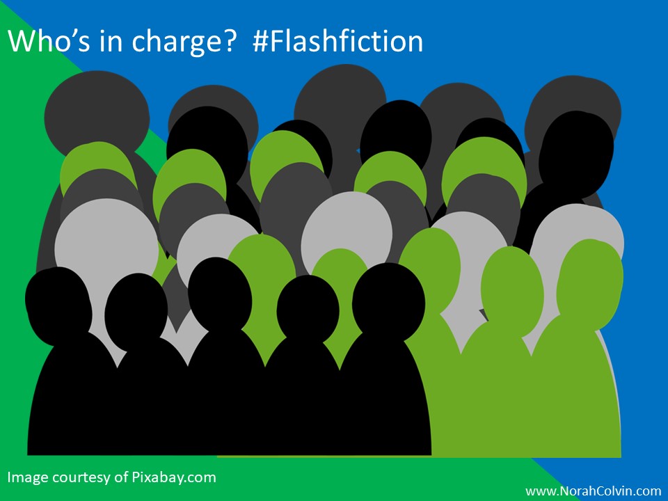 Who's in charge flash fiction