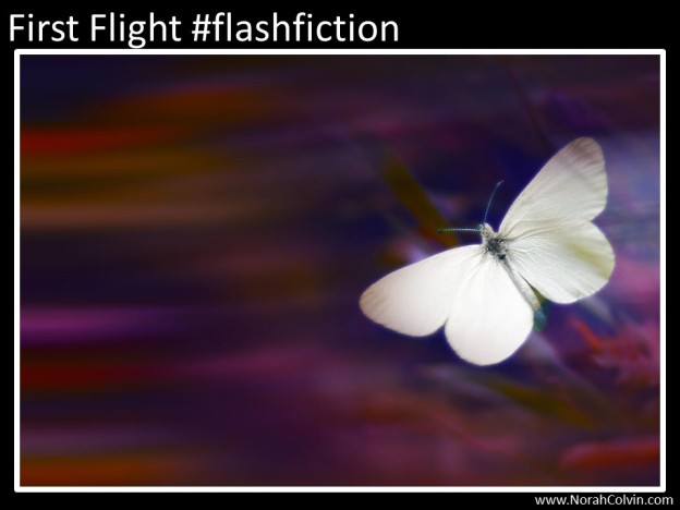First flight #flash fiction